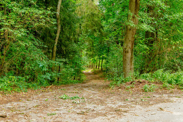 Thumbnail: _JA 40724 Natur pur.jpg